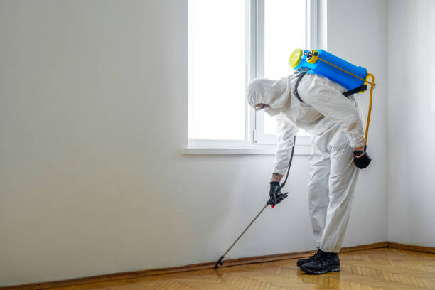 Best Affordable Pest Control Services  in Balch Springs, TX