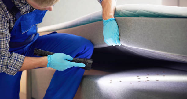 Best Residential Pest Control  in Balch Springs, TX